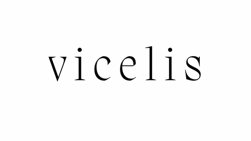 Vicelis art interior 